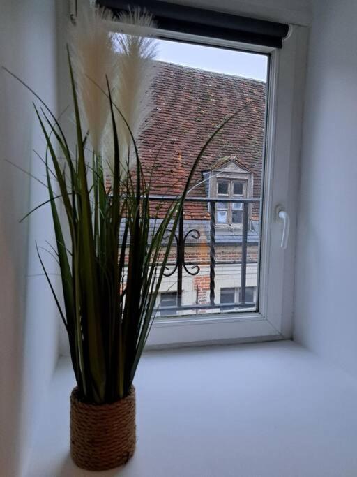 Confortable Studio Renove Cambrai Exteriér fotografie