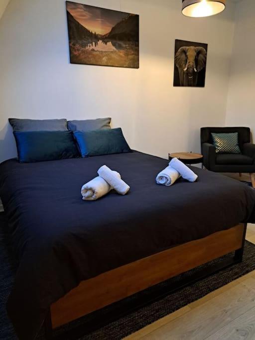 Confortable Studio Renove Cambrai Exteriér fotografie